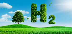 Image of a green field under a blue sky with a huge "H2" made from leaves