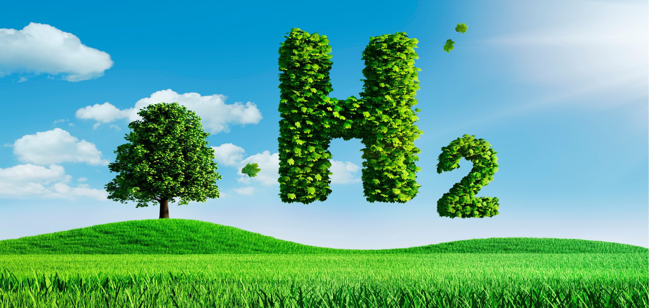 Image of a green field under a blue sky with a huge "H2" made from leaves